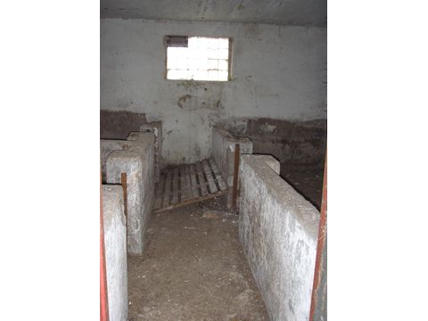 Foto 45